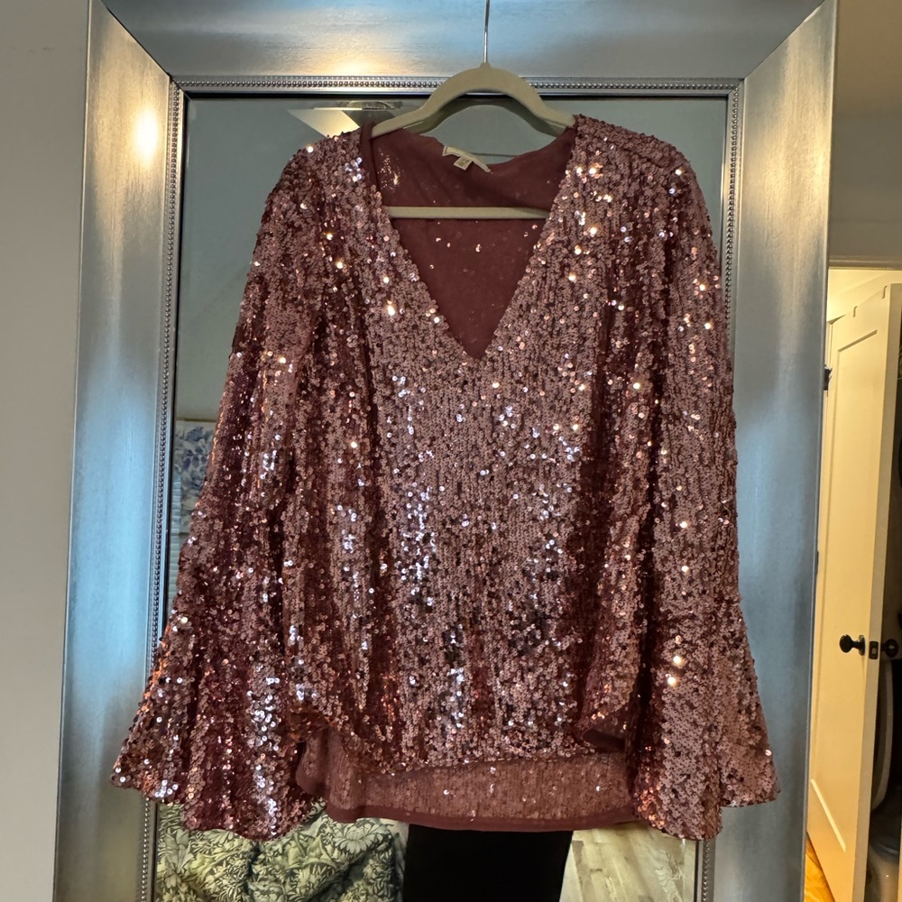 Anthropologie sequin top. Only worn one time!